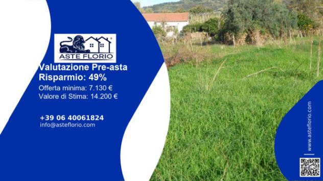 terreno agricolo in vendita a Fuscaldo