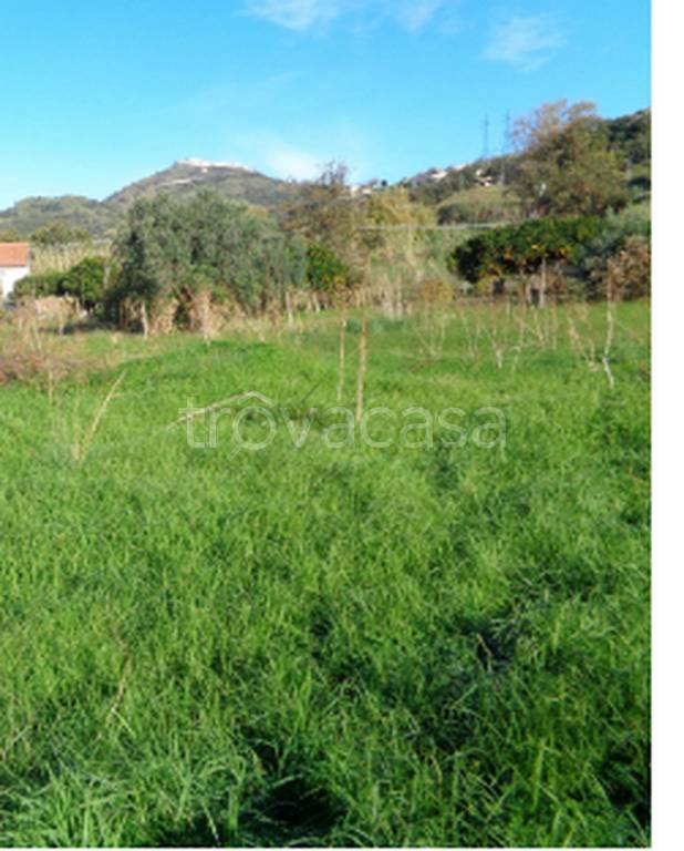 terreno agricolo in vendita a Fuscaldo