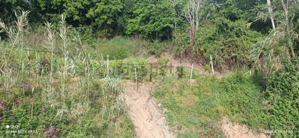 terreno agricolo in vendita a Fuscaldo in zona Cariglio