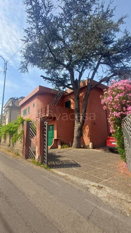 casa indipendente in vendita a Fuscaldo in zona Scarcelli