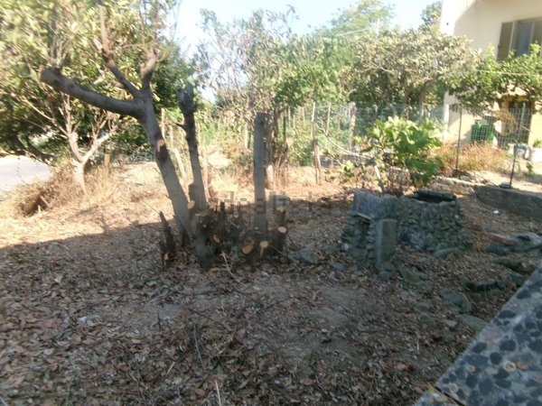 appartamento in vendita a Fuscaldo in zona Cariglio