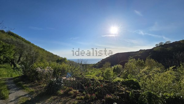 casa indipendente in vendita a Fuscaldo in zona Cariglio