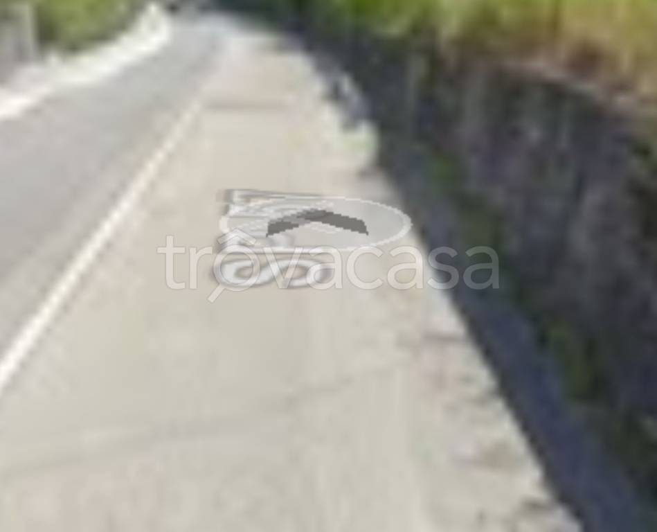 terreno agricolo in vendita a Grimaldi