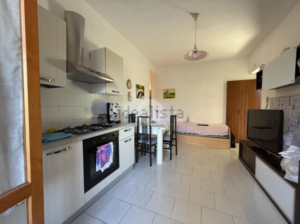 appartamento in vendita a Grisolia