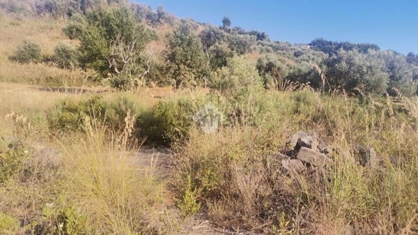 terreno edificabile in vendita a Grisolia