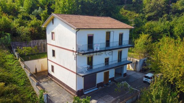 appartamento in vendita a Grisolia