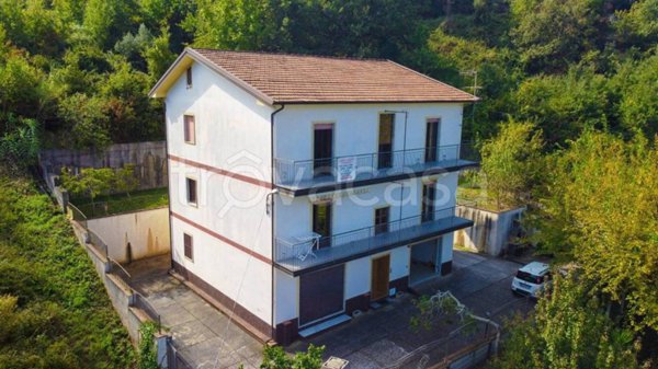 casa indipendente in vendita a Grisolia