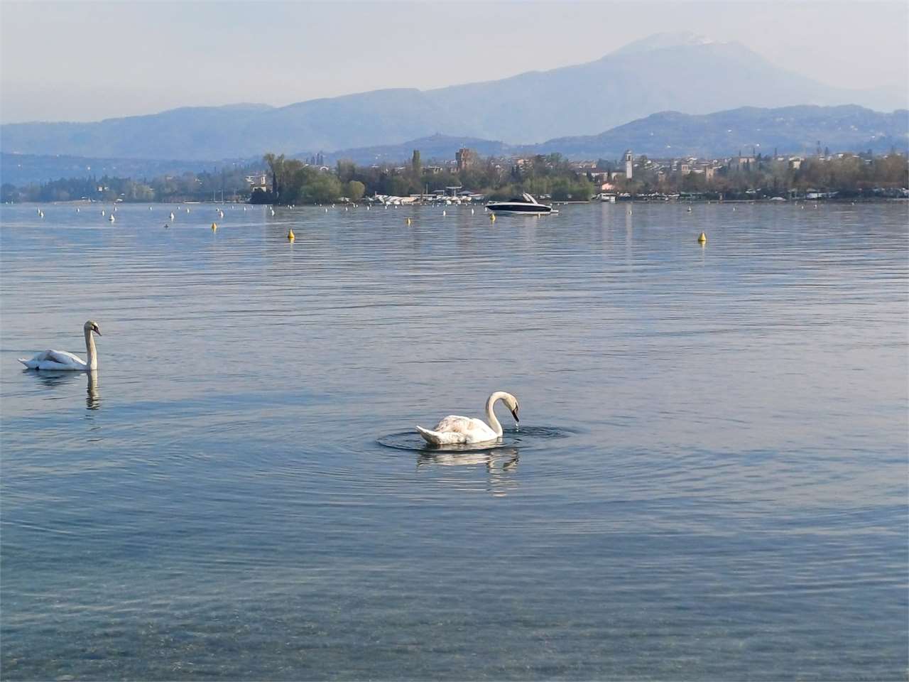 villa in vendita a Lago
