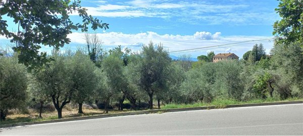 terreno agricolo in vendita a Lago