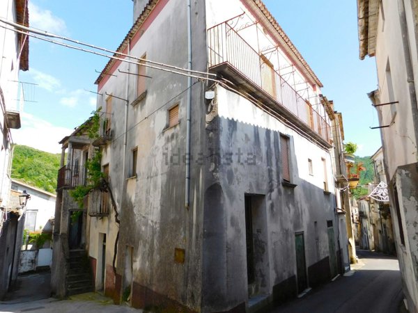 esavano in vendita a Laino Borgo