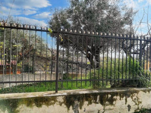 terreno agricolo in vendita a Lappano