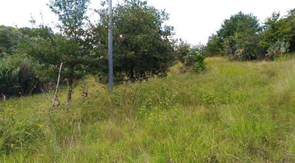 terreno agricolo in vendita a Lappano