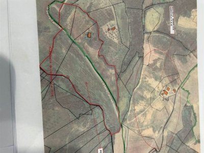 terreno agricolo in vendita a Lattarico