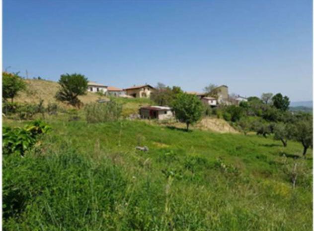 terreno agricolo in vendita a Lattarico in zona Palazzello