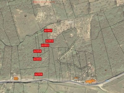 terreno agricolo in vendita a Lattarico