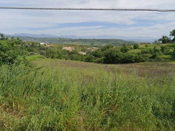 terreno agricolo in vendita a Lattarico in zona Cozzo Carbonaro