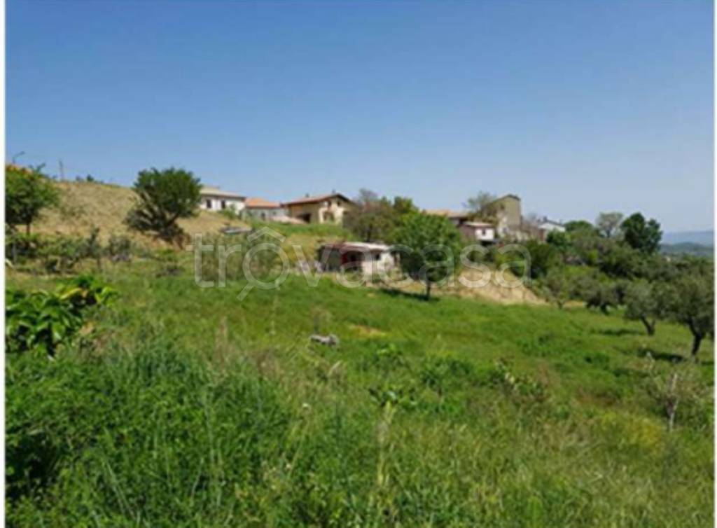 terreno agricolo in vendita a Lattarico in zona Palazzello