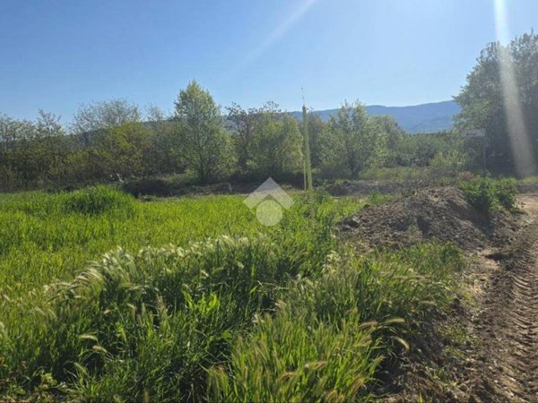 terreno agricolo in vendita a Lattarico
