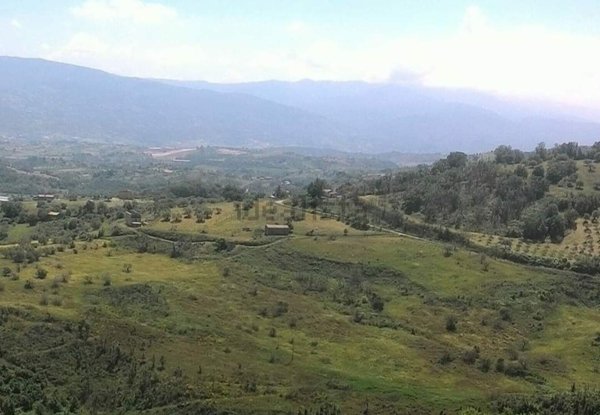 terreno agricolo in vendita a Lattarico