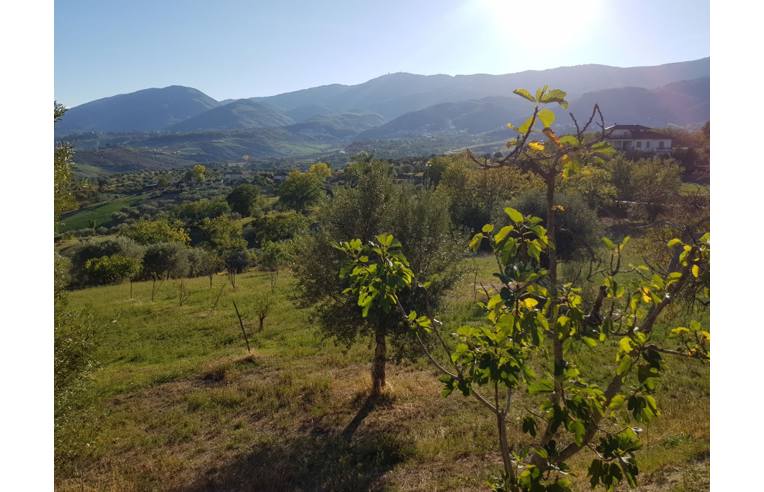 casa indipendente in vendita a Lattarico in zona Regina