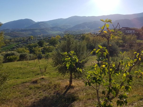 casa indipendente in vendita a Lattarico in zona Regina
