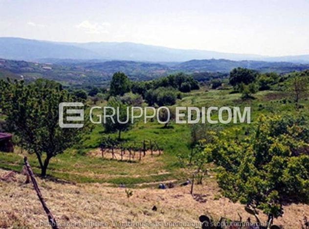 terreno agricolo in vendita a Lattarico in zona Palazzello