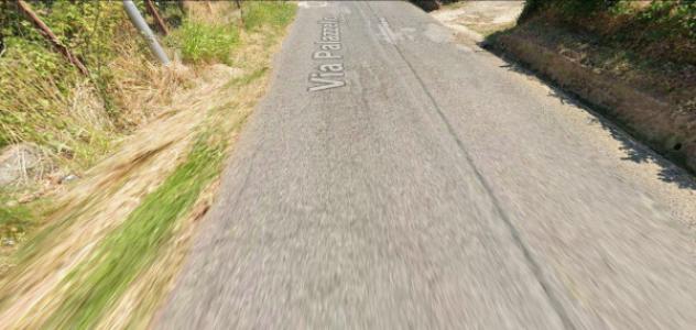 terreno agricolo in vendita a Lattarico in zona Palazzello