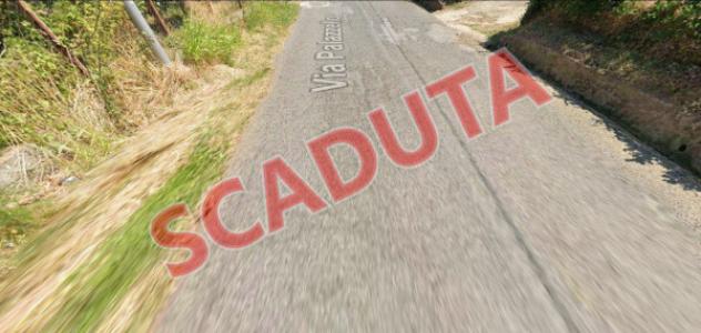 terreno agricolo in vendita a Lattarico