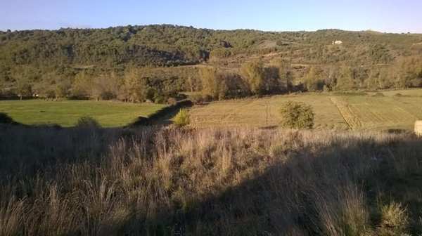 terreno agricolo in vendita a Lattarico in zona Regina
