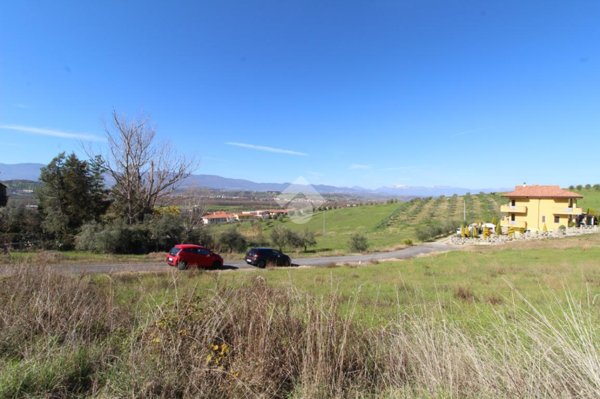 terreno agricolo in vendita a Luzzi