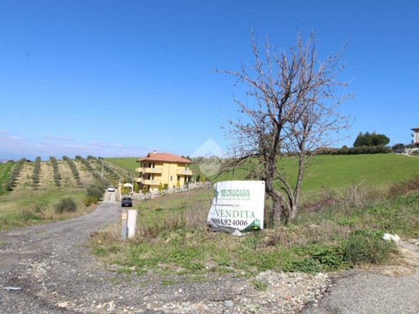 terreno agricolo in vendita a Luzzi