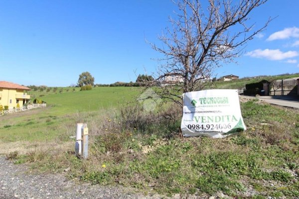 terreno agricolo in vendita a Luzzi