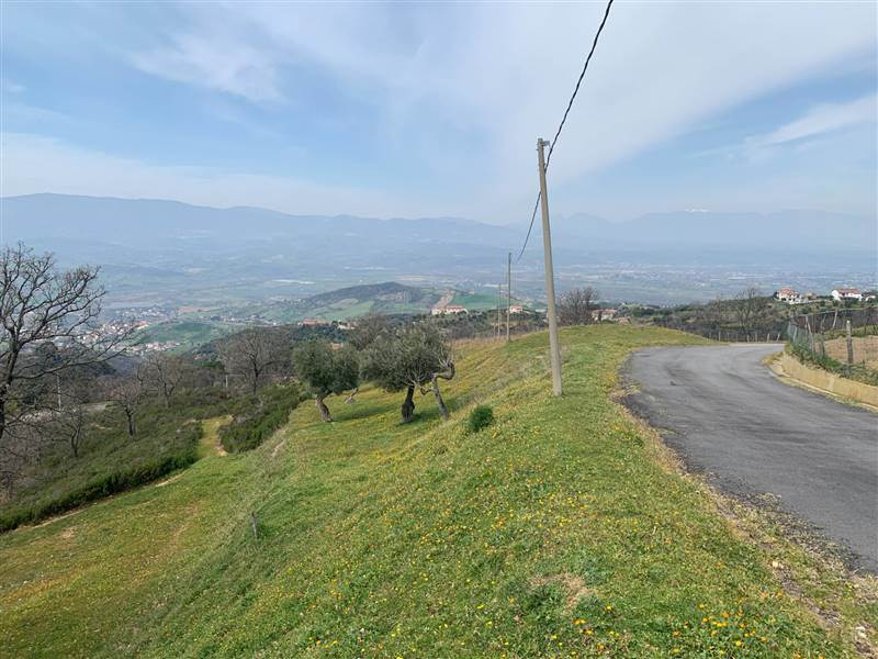 terreno agricolo in vendita a Luzzi