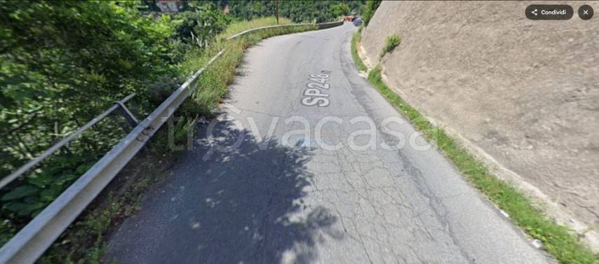 terreno agricolo in vendita a Luzzi