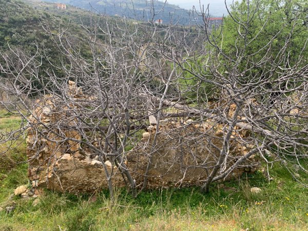 terreno agricolo in vendita a Luzzi
