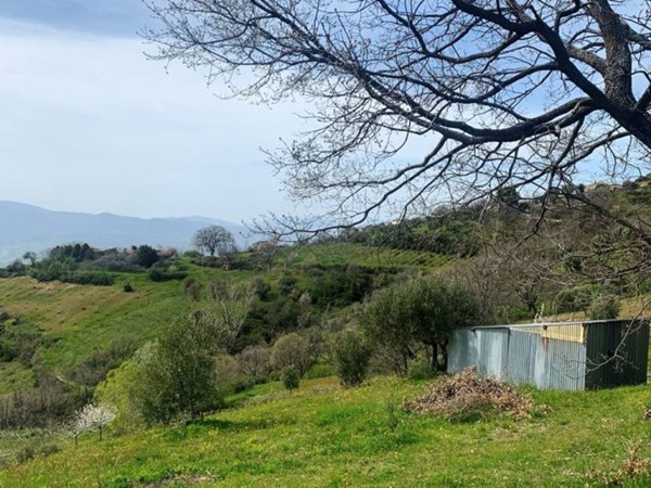 terreno agricolo in vendita a Luzzi