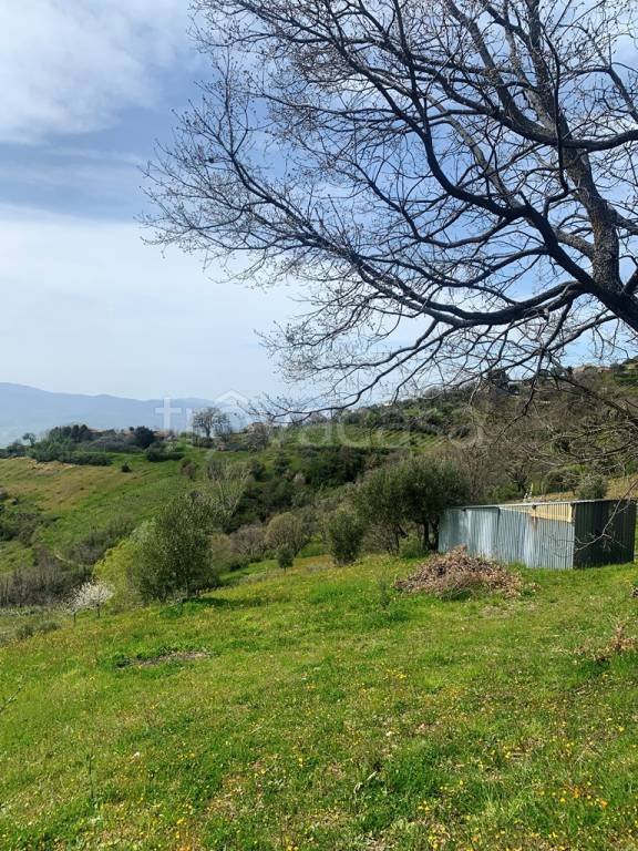casa indipendente in vendita a Luzzi