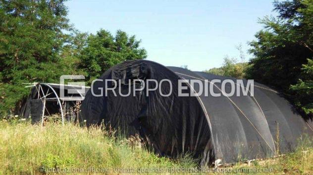 terreno agricolo in vendita a Luzzi