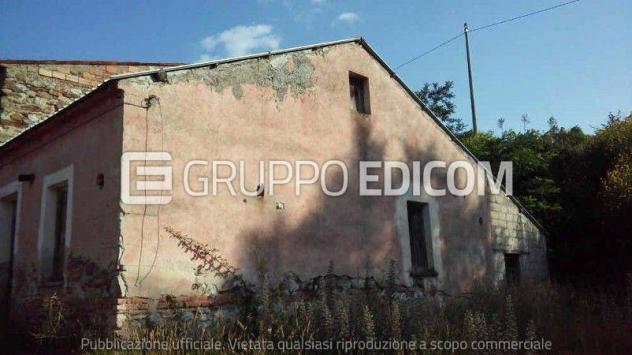 terreno agricolo in vendita a Luzzi