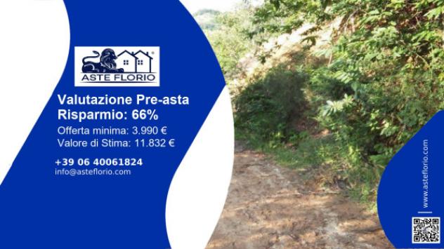terreno agricolo in vendita a Luzzi