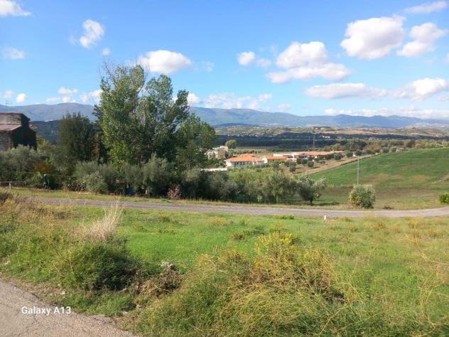terreno agricolo in vendita a Luzzi