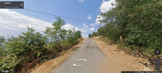 terreno agricolo in vendita a Luzzi