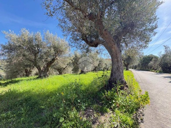 bifamiliare in vendita a Luzzi