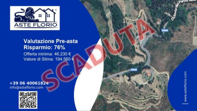 terreno agricolo in vendita a Luzzi