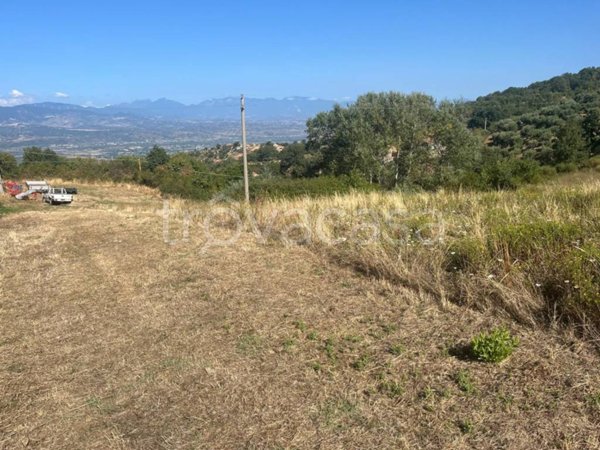 terreno agricolo in vendita a Luzzi