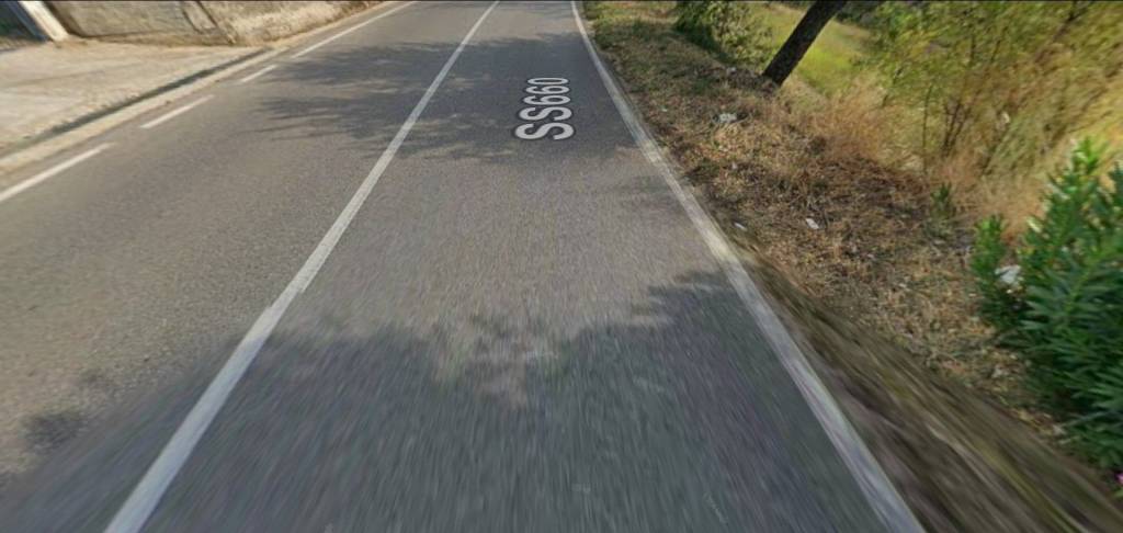 terreno agricolo in vendita a Luzzi