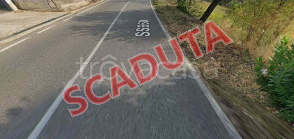 terreno agricolo in vendita a Luzzi