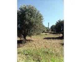 ufficio in vendita a Luzzi