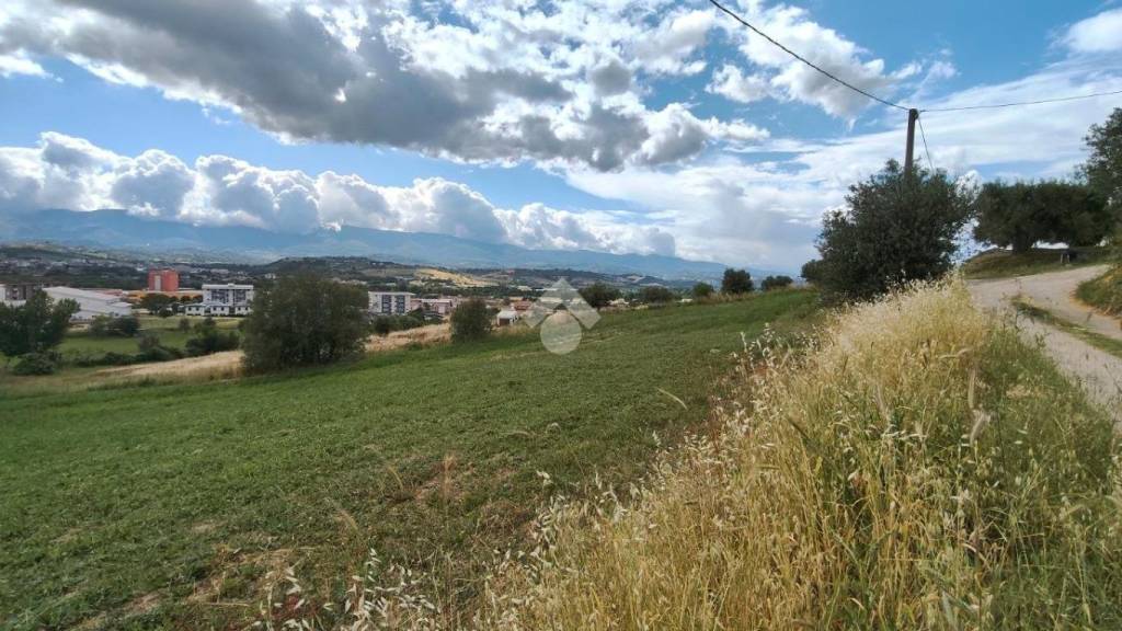 terreno agricolo in vendita a Luzzi in zona Cavoni