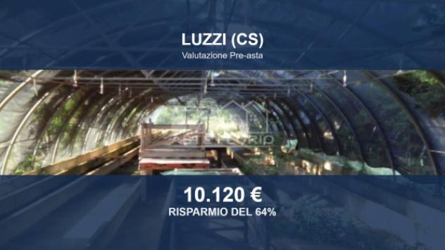 terreno agricolo in vendita a Luzzi